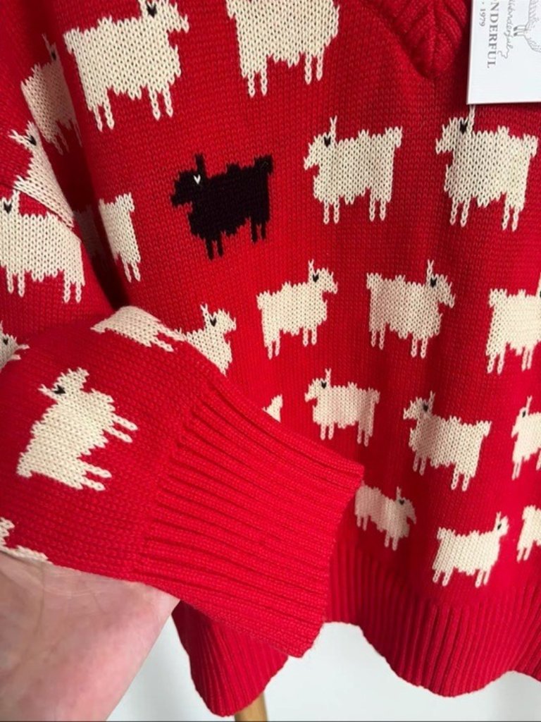 Warm & Wonderful Women's Diana Edition Cotton Linen V-Necksheep Sweater Red, S M — image 5 of 8